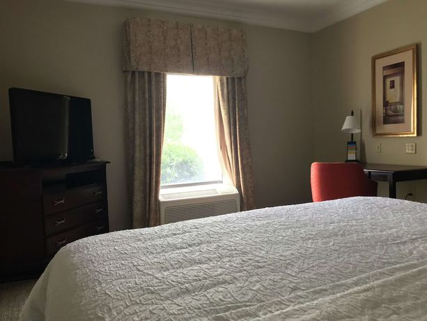 Imagen de la habitación del Hotel Hampton Inn Vidalia. Foto 6