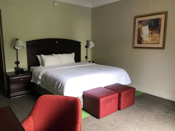 Imagen de la habitación del Hotel Hampton Inn Vidalia. Foto 10