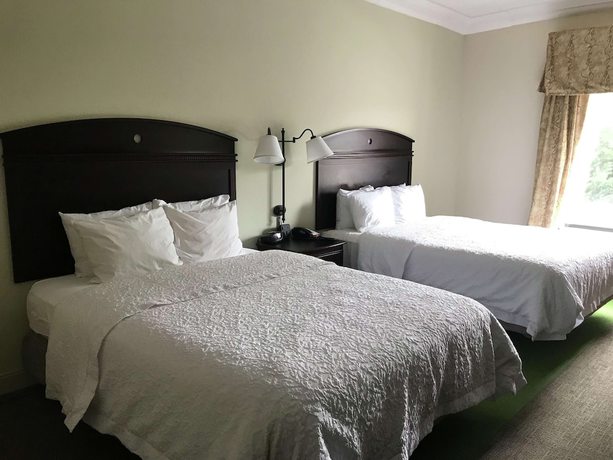 Imagen de la habitación del Hotel Hampton Inn Vidalia. Foto 11