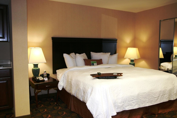 Imagen de la habitación del Hotel Hampton Inn Waco. Foto 4