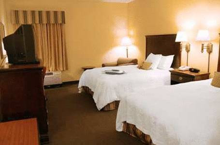 Imagen de la habitación del Hotel Hampton Inn Warner Robins. Foto 3