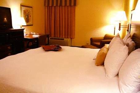 Imagen de la habitación del Hotel Hampton Inn Warner Robins. Foto 5