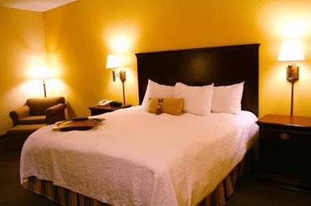 Imagen de la habitación del Hotel Hampton Inn Warner Robins. Foto 6