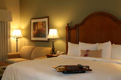 Imagen de la habitación del Hotel Hampton Inn West Palm Beach-lake Worth-turnpike. Foto 6