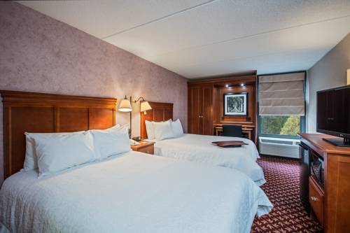 Imagen de la habitación del Hotel Hampton Inn West Springfield. Foto 6