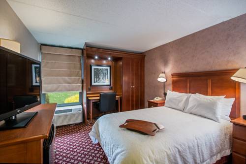 Imagen de la habitación del Hotel Hampton Inn West Springfield. Foto 9