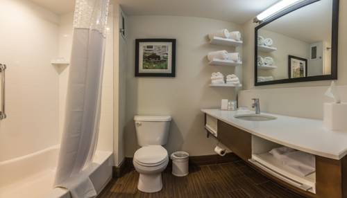 Imagen de la habitación del Hotel Hampton Inn Winchester-university/ Mall. Foto 8