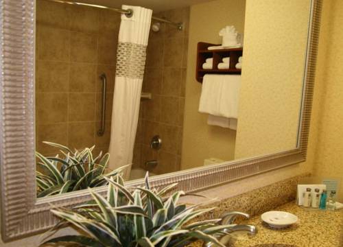 Imagen de la habitación del Hotel Hampton Inn Youngstown West. Foto 6