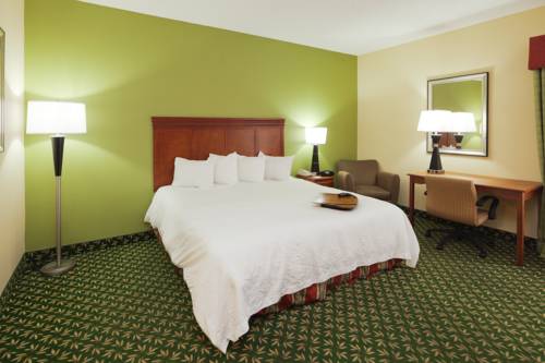 Imagen de la habitación del Hotel Hampton Inn Youngstown-north. Foto 10