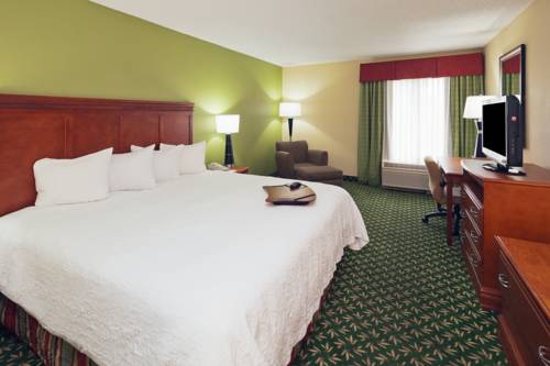 Imagen de la habitación del Hotel Hampton Inn Youngstown-north. Foto 12