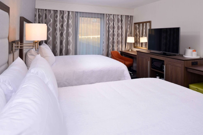 Imagen de la habitación del Hotel Hampton Inn & Suites Albany-east Greenbush. Foto 6
