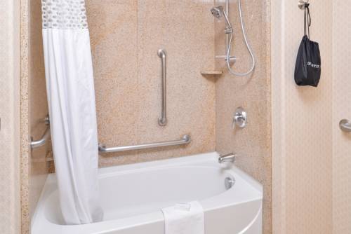 Imagen de la habitación del Hotel Hampton Inn & Suites Boise-meridian. Foto 4