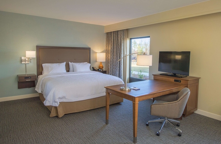 Imagen de la habitación del Hotel Hampton Inn & Suites Braselton. Foto 3