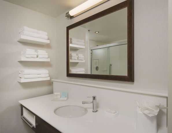 Imagen de la habitación del Hotel Hampton Inn & Suites Braselton. Foto 8