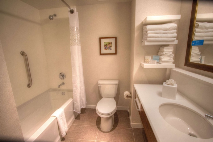 Imagen de la habitación del Hotel Hampton Inn & Suites Braselton. Foto 9
