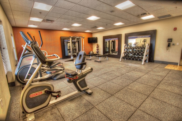 Imagen de los interiores del Hotel Hampton Inn & Suites Braselton. Foto 14