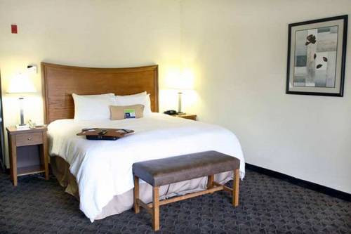 Imagen de la habitación del Hotel Hampton Inn & Suites Chesapeake-square Mall. Foto 3