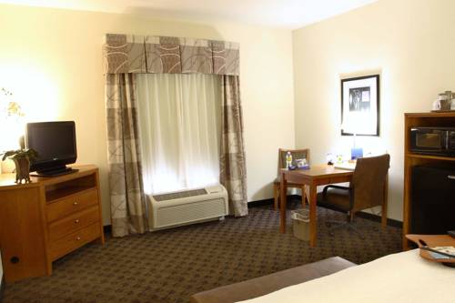 Imagen de la habitación del Hotel Hampton Inn & Suites Chesapeake-square Mall. Foto 6
