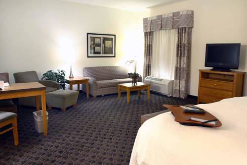 Imagen de la habitación del Hotel Hampton Inn & Suites Chesapeake-square Mall. Foto 9