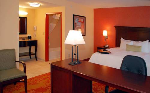 Imagen de la habitación del Hotel Hampton Inn & Suites Denver/highlands Ranch. Foto 4