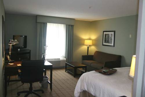Imagen de la habitación del Hotel Hampton Inn & Suites Detroit-canton. Foto 6