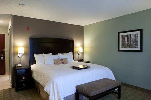 Imagen de la habitación del Hotel Hampton Inn & Suites Detroit-canton. Foto 7