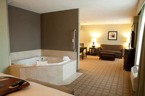 Imagen de la habitación del Hotel Hampton Inn & Suites Detroit-canton. Foto 10