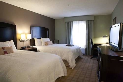 Imagen de la habitación del Hotel Hampton Inn & Suites Detroit-canton. Foto 11