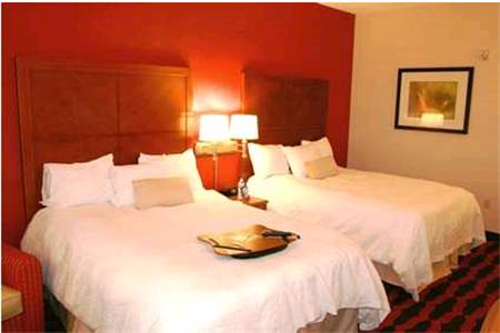 Imagen de la habitación del Hotel Hampton Inn & Suites East Lansing. Foto 6