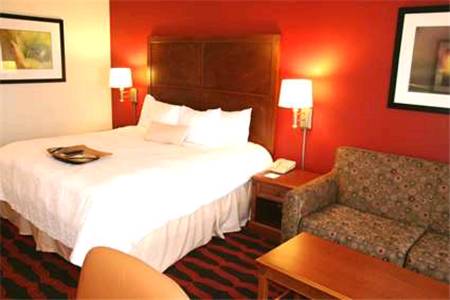 Imagen de la habitación del Hotel Hampton Inn & Suites East Lansing. Foto 8