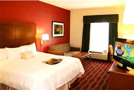 Imagen de la habitación del Hotel Hampton Inn & Suites East Lansing. Foto 9