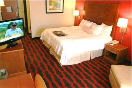 Imagen de la habitación del Hotel Hampton Inn & Suites East Lansing. Foto 10