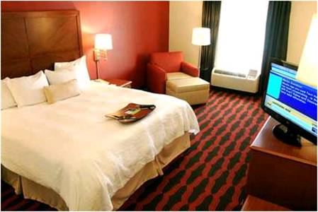 Imagen de la habitación del Hotel Hampton Inn & Suites East Lansing. Foto 13