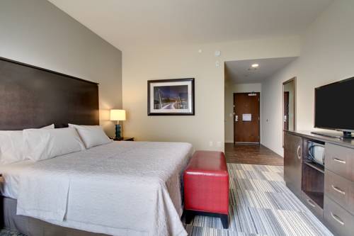 Imagen de la habitación del Hotel Hampton Inn & Suites Greenville Airport. Foto 1