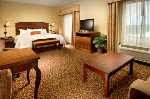 Imagen de la habitación del Hotel Hampton Inn & Suites Lakeland-south Polk Parkway. Foto 2