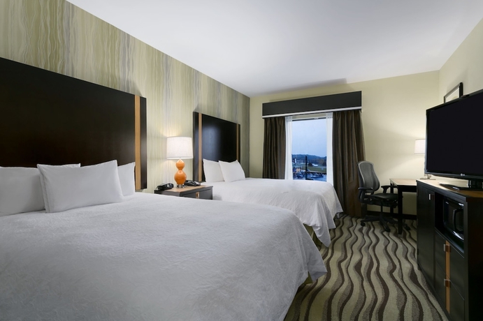 Imagen de la habitación del Hotel Hampton Inn & Suites Laurel. Foto 14