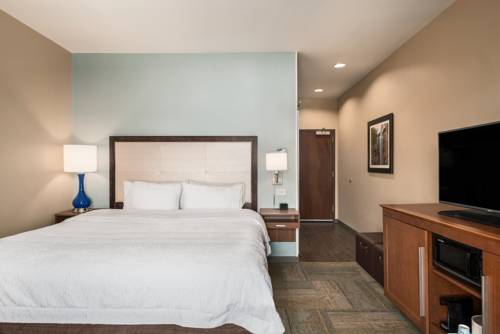 Imagen de la habitación del Hotel Hampton Inn & Suites - Lavonia, Ga. Foto 13