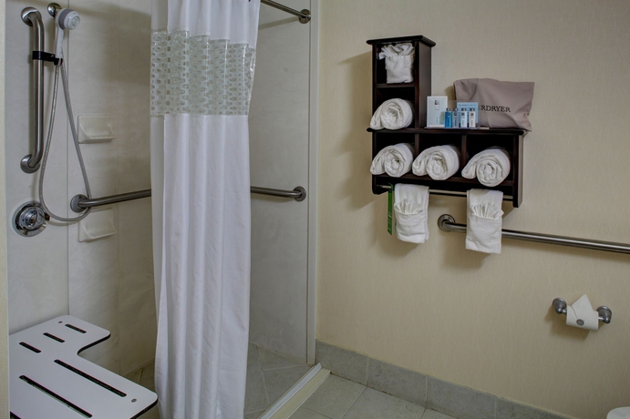 Imagen de la habitación del Hotel Hampton Inn & Suites Miami Airport South Blue. Foto 9