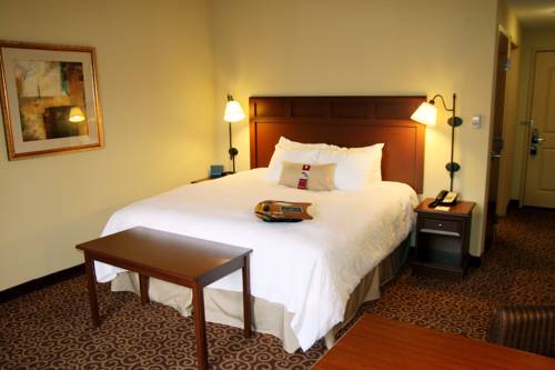 Imagen general del Hotel Hampton Inn & Suites Murray. Foto 1