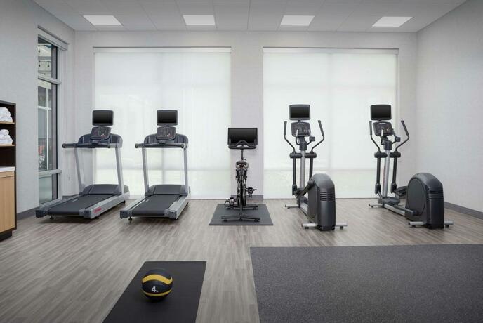 Imagen general del Hotel Hampton Inn & Suites Naples South. Foto 53