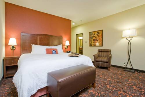 Imagen de la habitación del Hotel Hampton Inn & Suites New Braunfels. Foto 5