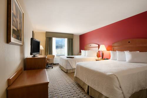 Imagen de la habitación del Hotel Hampton Inn & Suites Salida. Foto 4