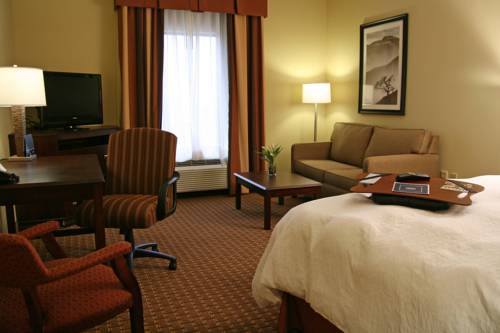 Imagen de la habitación del Hotel Hampton Inn & Suites Sevierville At Stadium Drive. Foto 6