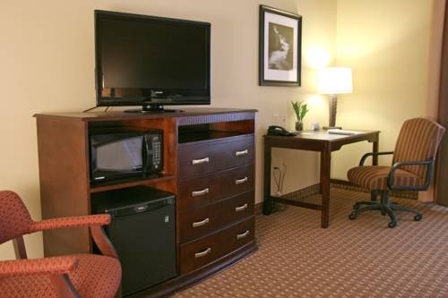 Imagen de la habitación del Hotel Hampton Inn & Suites Sevierville At Stadium Drive. Foto 8