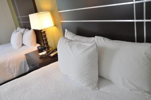 Imagen general del Hotel Hampton Inn & Suites Sharon. Foto 3