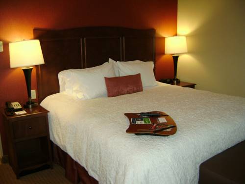 Imagen de la habitación del Hotel Hampton Inn & Suites St. Louis/South I-55. Foto 4