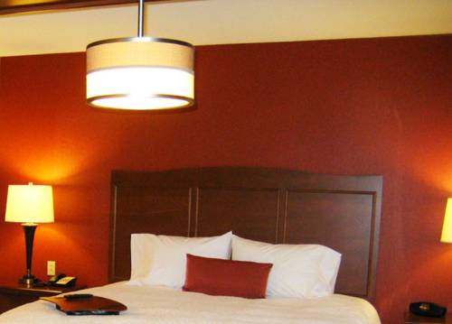 Imagen de la habitación del Hotel Hampton Inn & Suites St. Louis/South I-55. Foto 10
