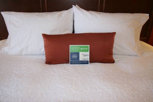 Imagen de la habitación del Hotel Hampton Inn & Suites St. Louis/South I-55. Foto 14