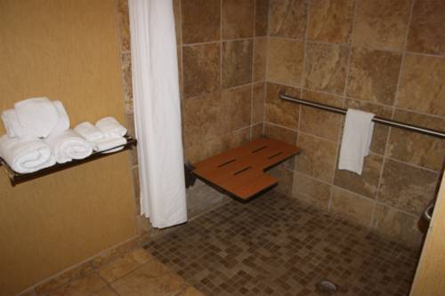 Imagen de la habitación del Hotel Hampton Inn & Suites Thibodaux. Foto 8