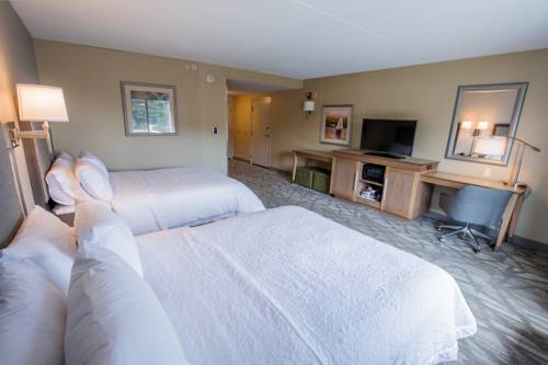 Imagen de la habitación del Hotel Hampton Inn & Suites Tilton. Foto 4